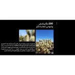 گوشی موبایل سامسونگ مدل Galaxy S23 Ultra 256GB Ram12 - تصویر 5